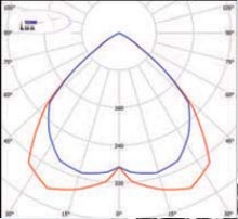  ������ ���� �����